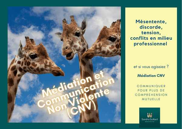 La médiation avec la Communication Non Violente (CNV)