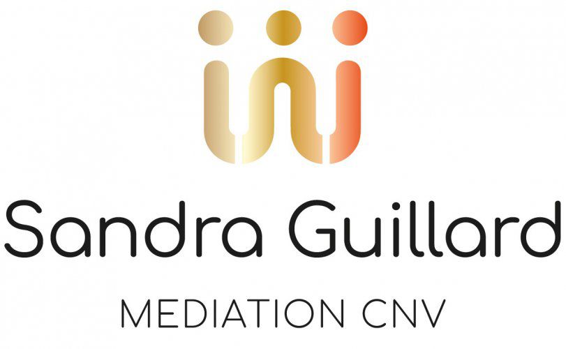 mediationcnv.fr